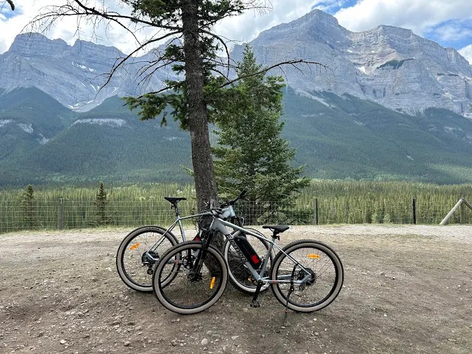 Three bikes parked under a tree with Mt Rundle behind